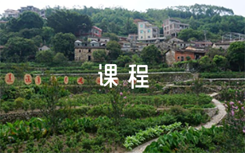 哪里可以找到关于篮球协调训练的教程?_1